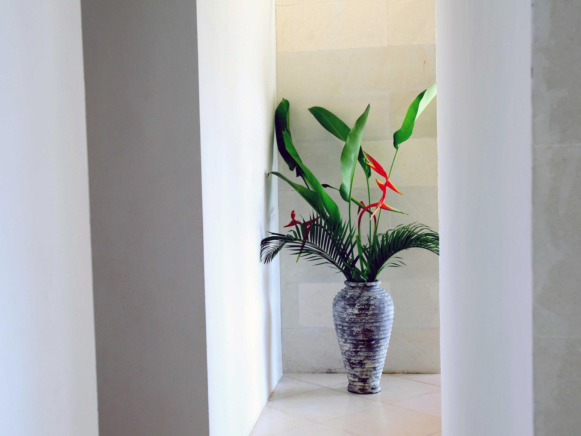 Jeda Villa Modern Stylish Luxury Villa Pemuteran Exterior foto